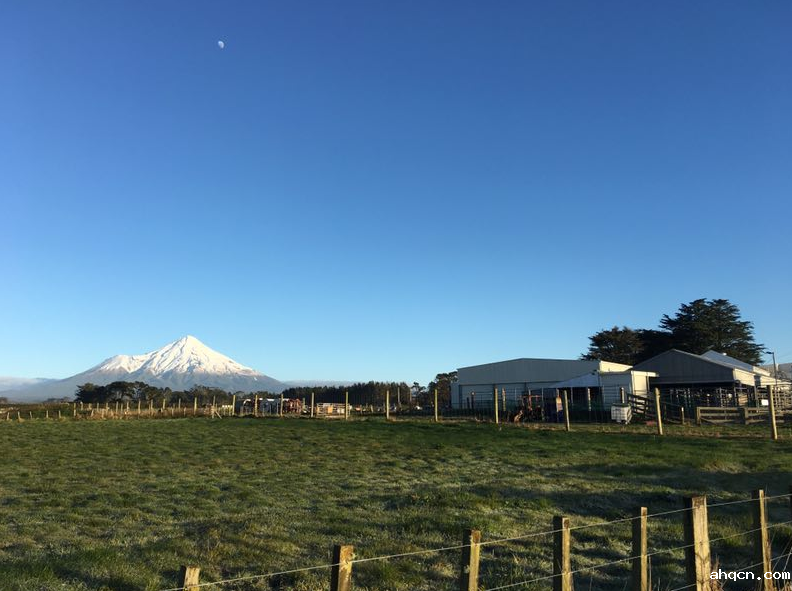 江西圣觉供应链管理有限公司